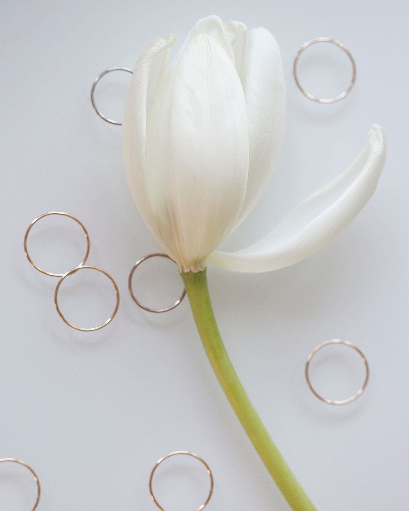 Ring picture