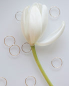 Ring picture